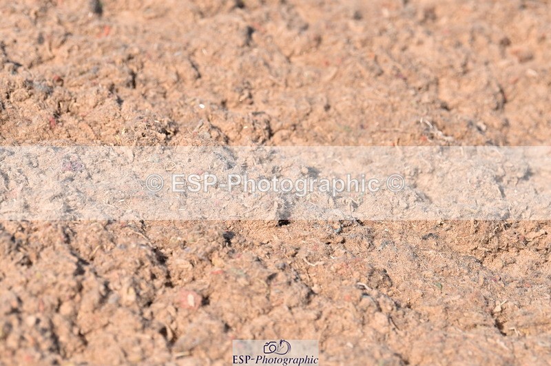 230606A-172304-00184 - 80cm