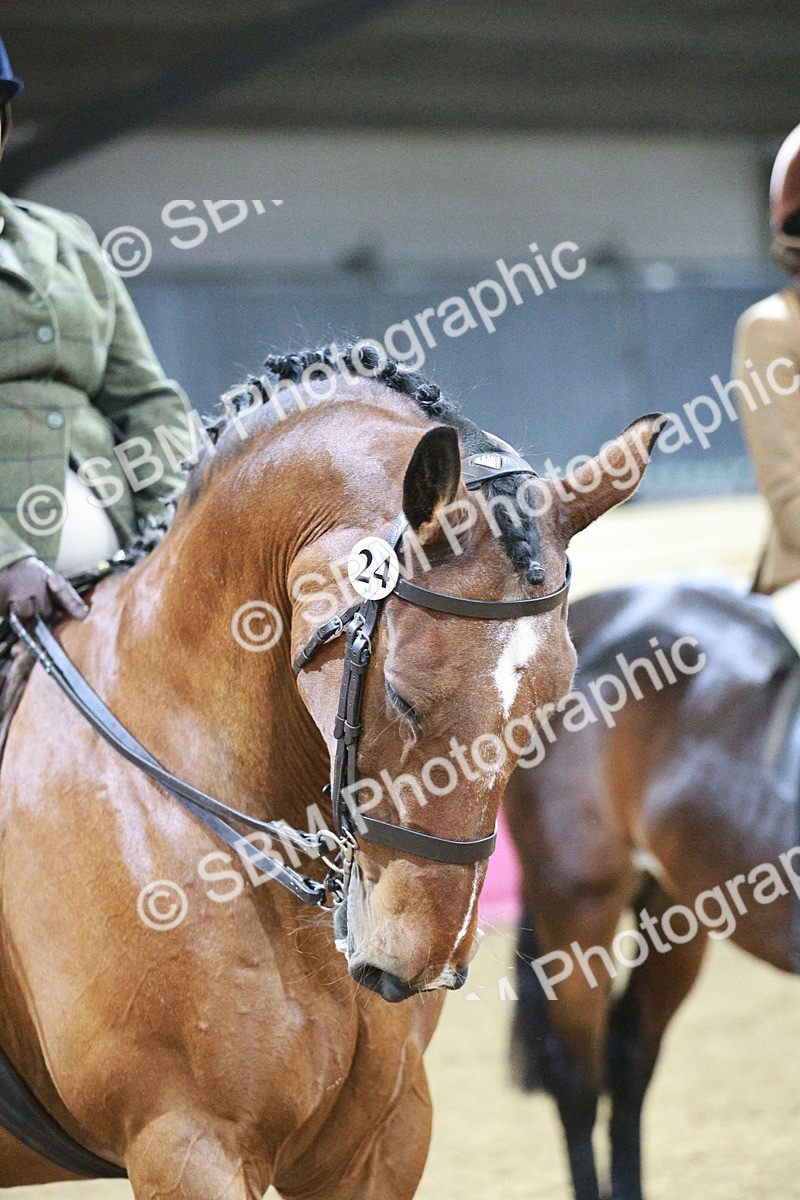 SBM_08076 - Class 11R - Regional Ridden Veteran