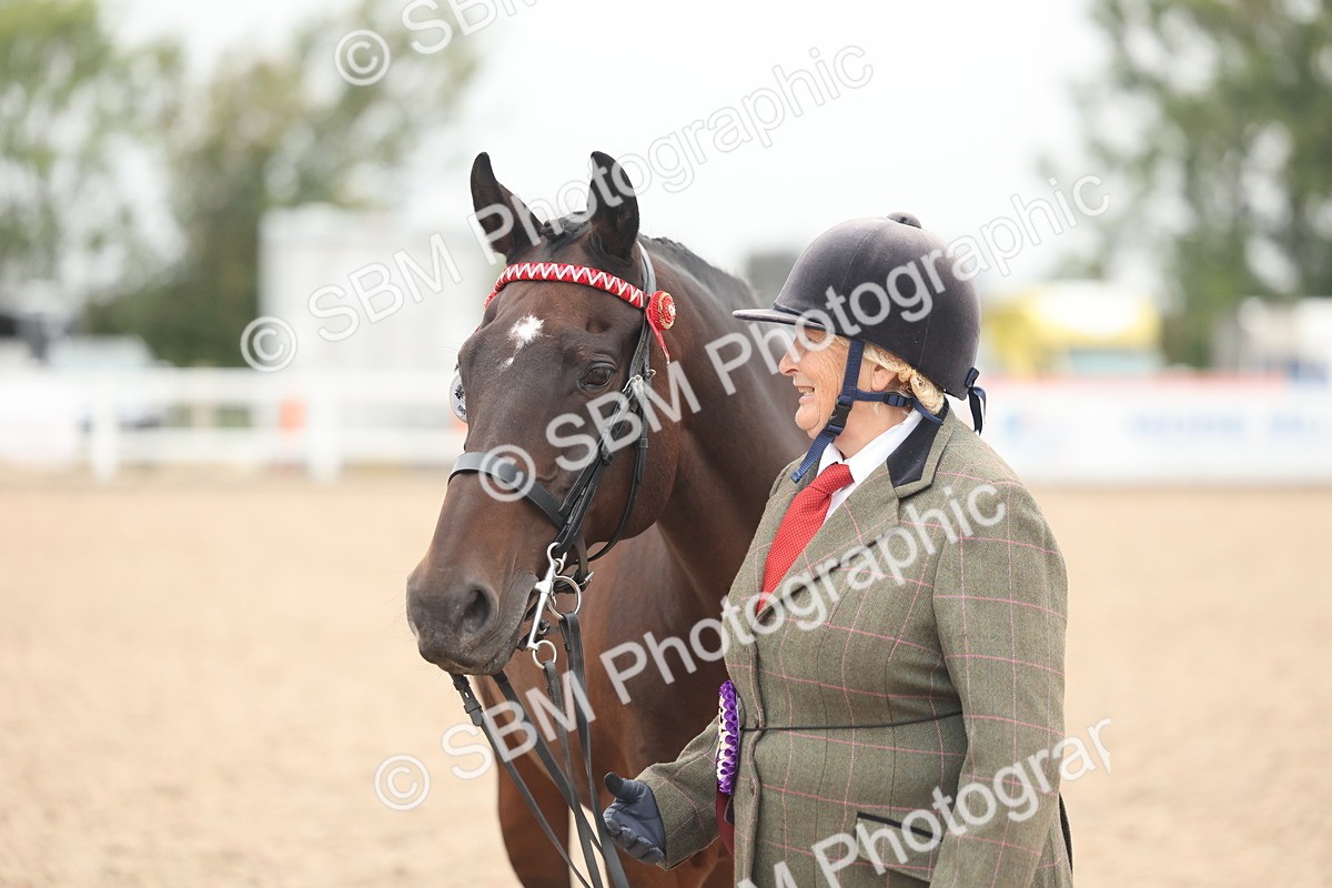 SBM_19907 - Class 318 - IH Part Bred Horse-Pony