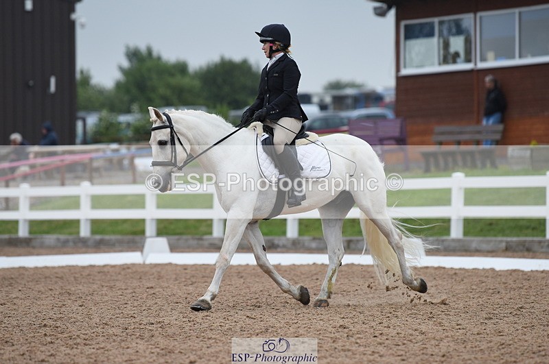 230708A-122408-01717 - Prelim 7