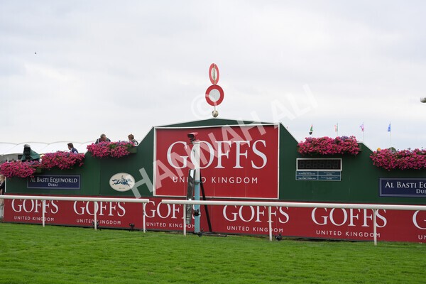 yr19082021r2-18 - Race 2 2.25pm Goffs UK Premier Yearling Stakes