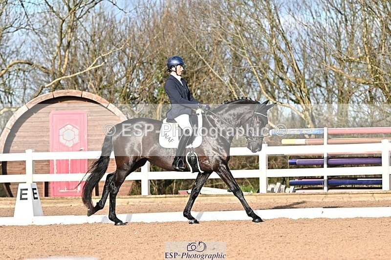 241214-114424-01441 - 151-Elder.Klatzko-Dynasty.Hit