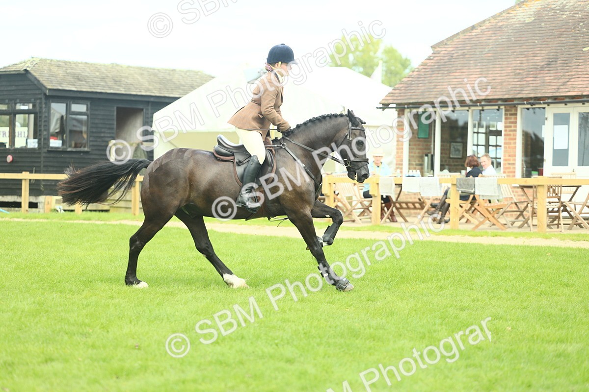 SBM_44765 - S31 - Working Hunter Pony
