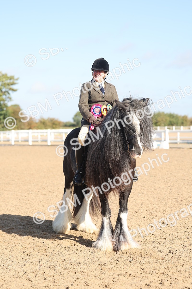 SBM_22252 - Class 802 - Ridden Groom Helpers Class