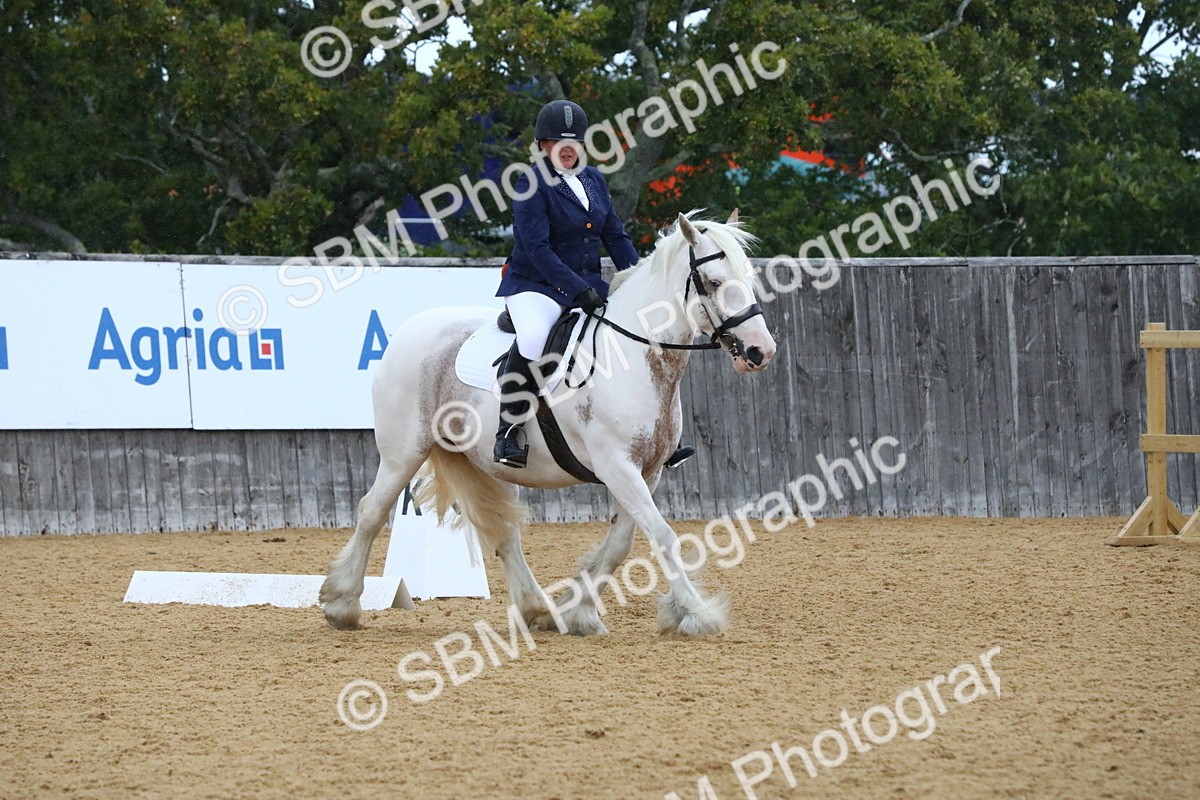 SBM_20872 - D5 - Small Tour Championshop Intro 2