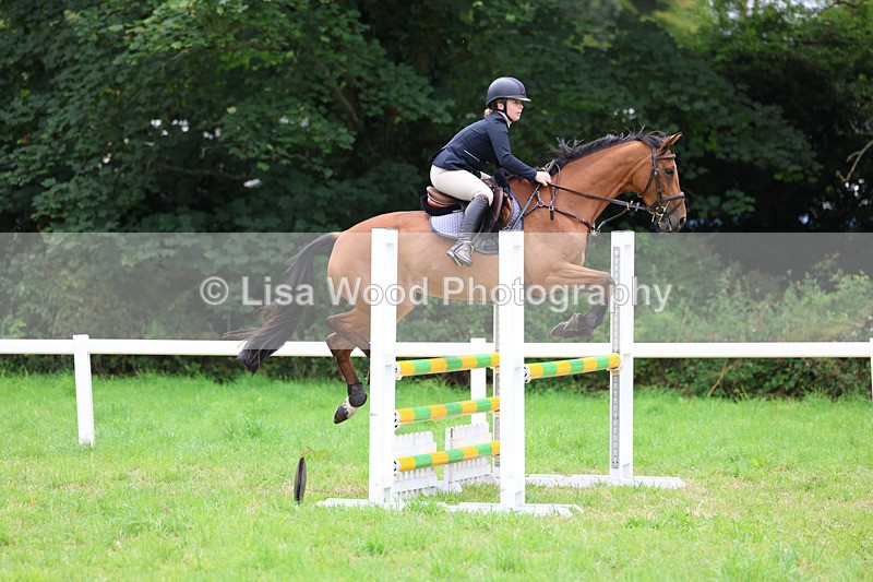 3E7A7133 - Class 5: Senior British Novice/90cm open