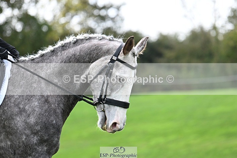 241025-130947-09949 - 562-Hannah.Wells-FOURFIELDS.HIGH.SEAS