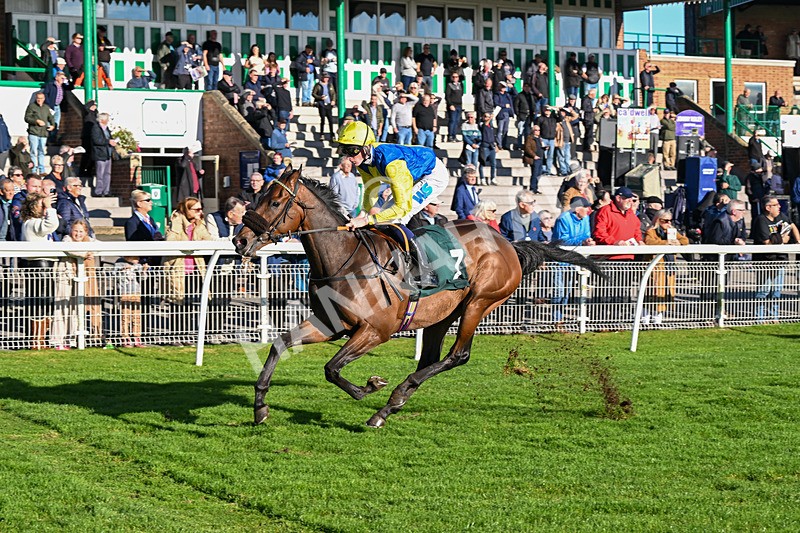 291024-Race 3-Kings Scholar-5939 - Race 3