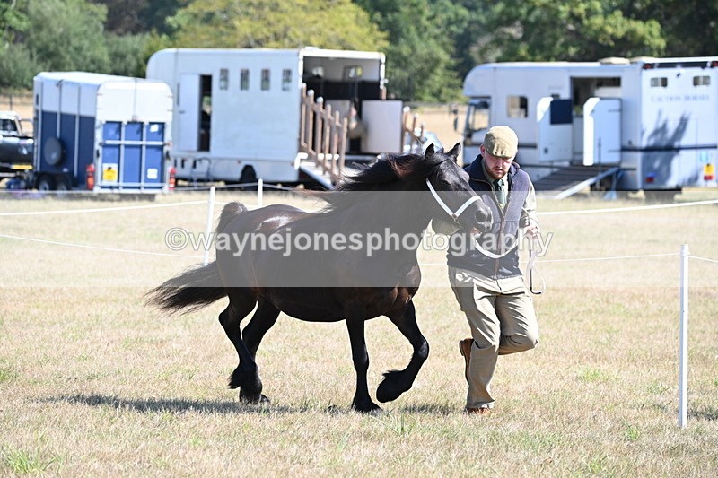 WJ6_4668 - Class 17 Mountain & Moorland