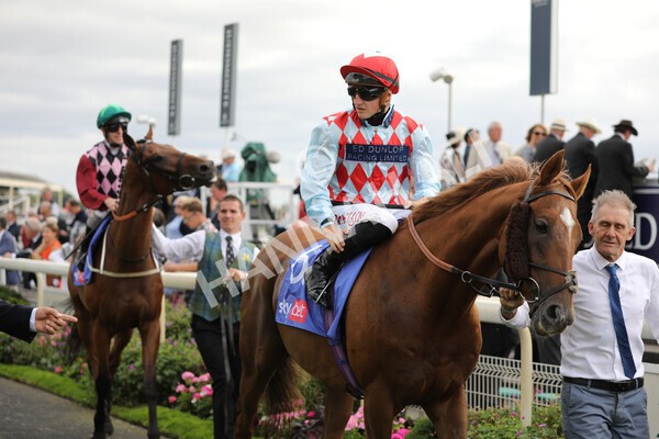 yr17082022r5-12 - Race 5 4.10pm Sky Bet Stayers Stakes