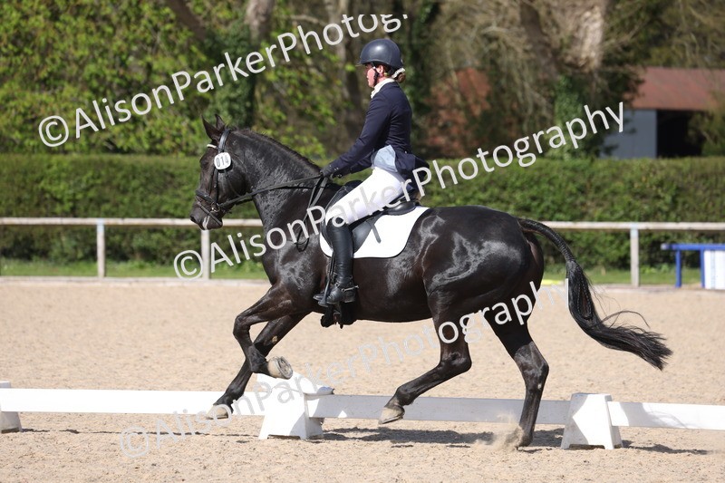 20260405-0536 - Class 6 - Elementary 6