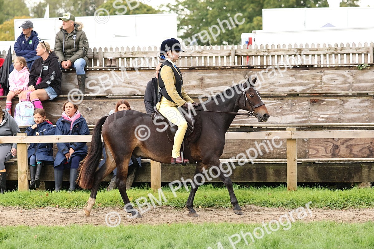 SBM_44941 - S27 - Young Veteran Ridden