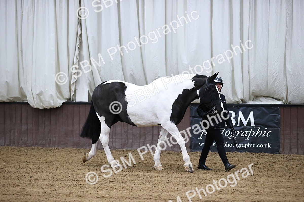 SBM_5241 - Class 32 - In Hand Cob Type