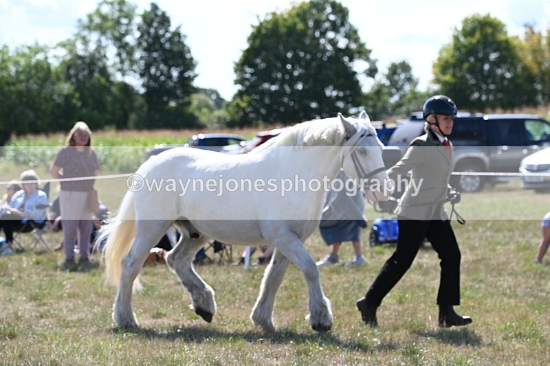 WJ6_4909 - Class 17 Mountain & Moorland