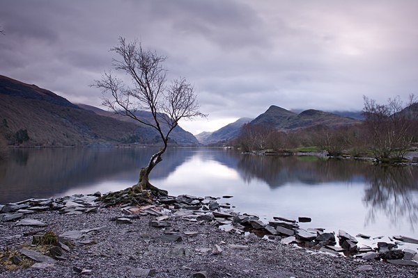  - Landscape