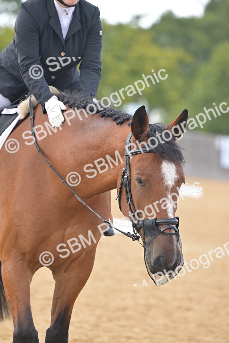 SBM_11270 - D3 - Small Tour Championship Intro 3