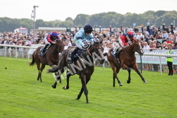 yr18082021r2-17 - Race 2 2.25pm Tattersalls Acomb Stakes