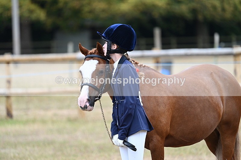 WJ7_8402 - Class 4 Prettiest Mare up to 14.2hh