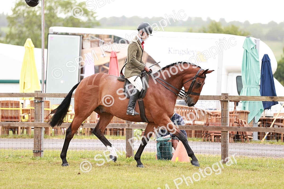 SBM_10743 - Class 81-84 - RIHS Ridden hunters Inc Ladies Hunter