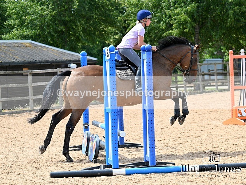 WJ7_6738 - Show Jumping at BCA