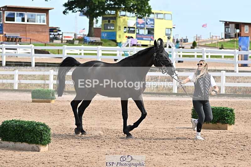 240717A-161625-03399 - Trot Up 4pm to 5pm