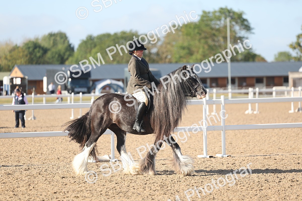 SBM_22193 - Class 802 - Ridden Groom Helpers Class
