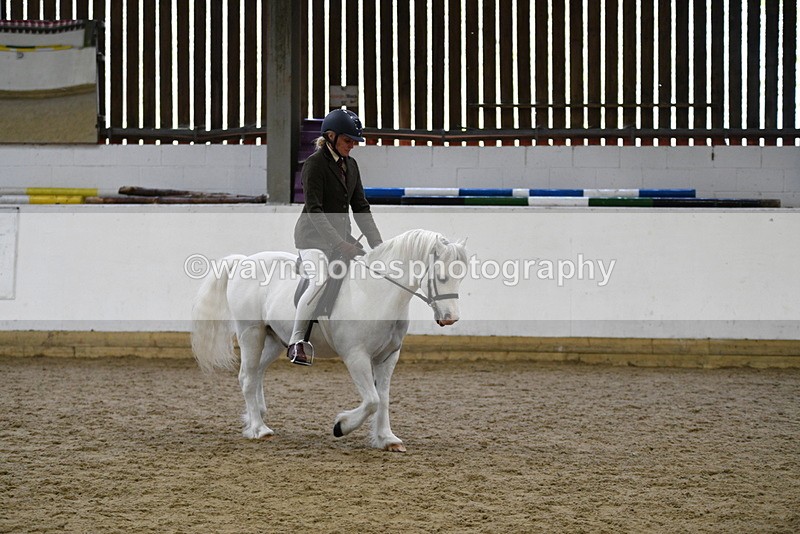 WJ5_6263 - Class 9 Ridden Veteran