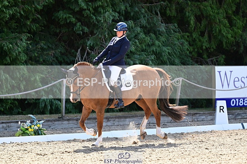 260731A-111735-00297 - Elementary Bronze 10.30 - Break