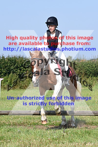 SNCP_0167 - N Group