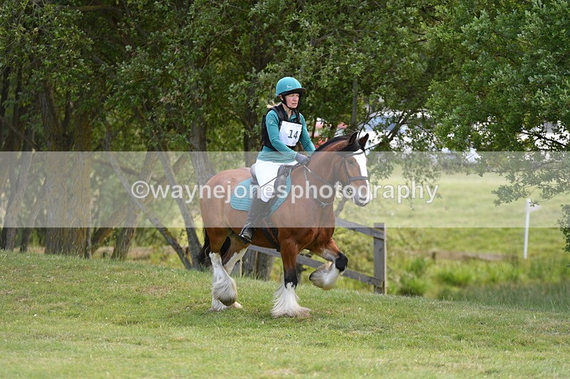 WJ5_2645 - Class 2 40cm