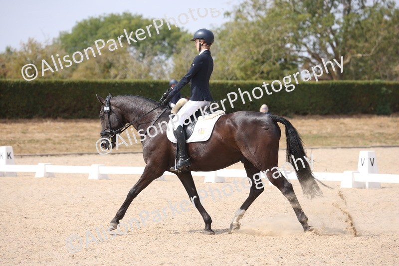 20260816-1088 - Class 4 - Novice 6