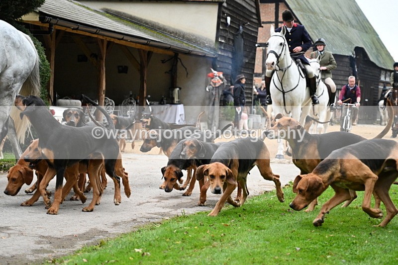 WJ7_6283 - Berks & Bucks - Children's Meet - The Old Farmhouse – Steventon.