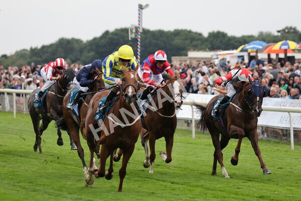 yr22072022r3-47 - Race 3 6.20pm Tomahawk Stakes