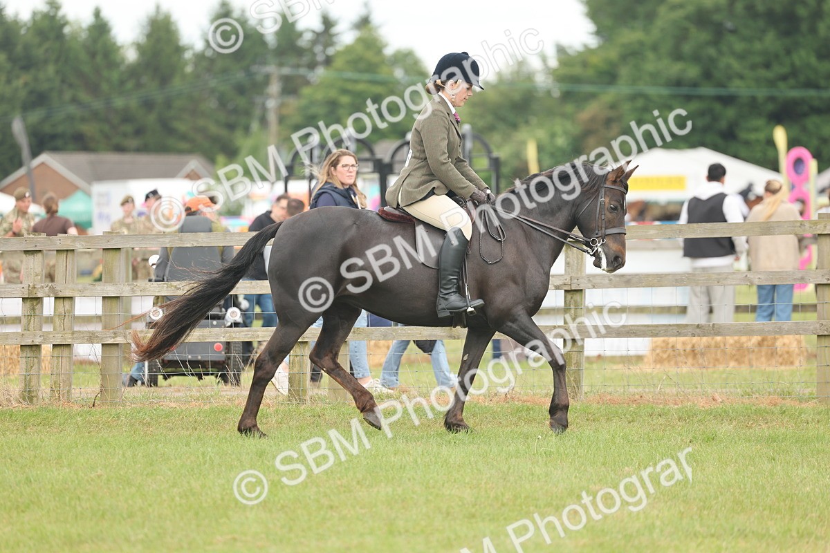 SBM_09076 - Class 78-80 - Ridden M&M Non Welsh Ponies
