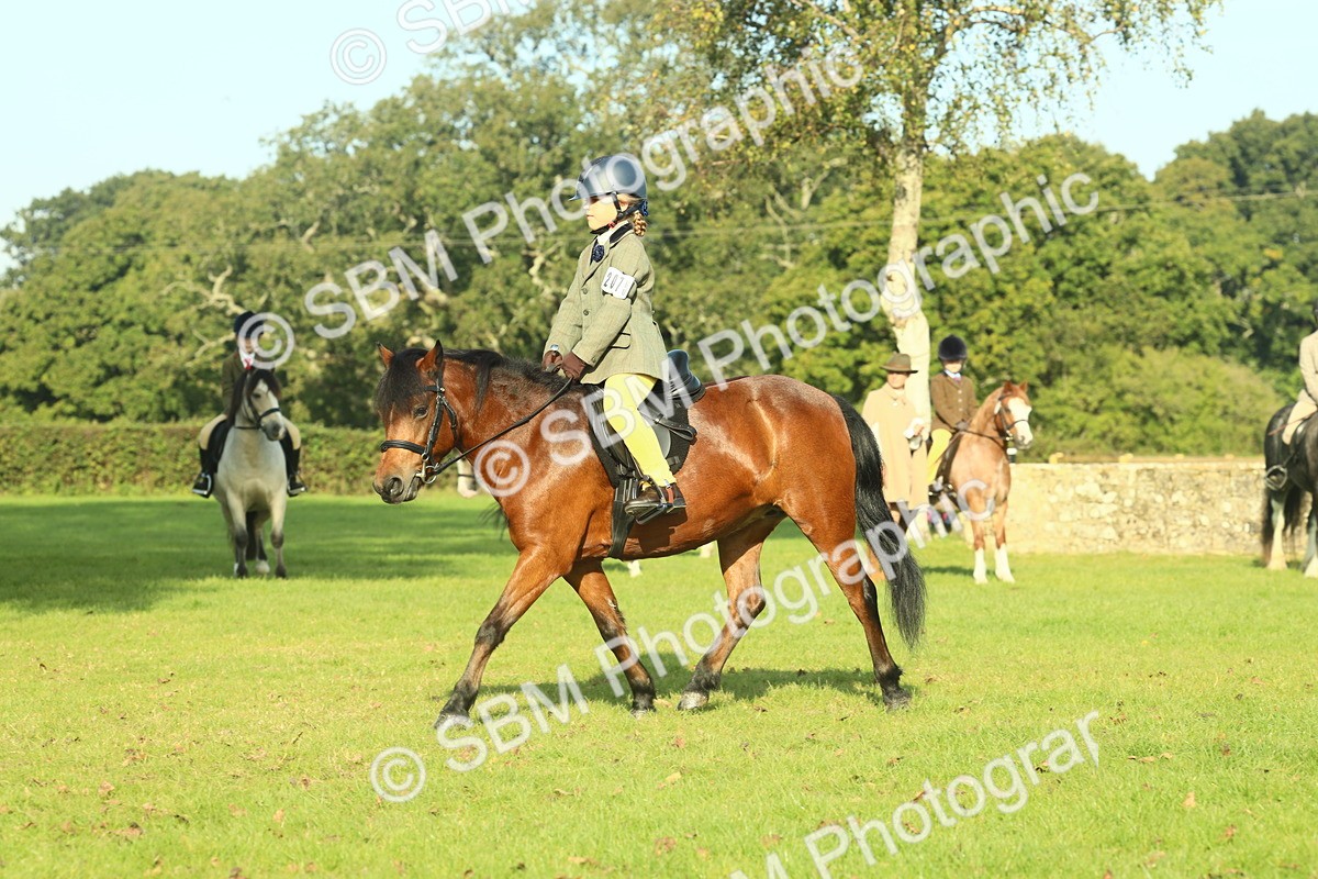 SBM_59163 - S38 - Starters Ridden Showing