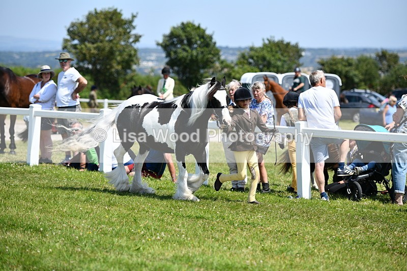 DSC_7582 - Class 64: Coloured Pony 4yrs & over
