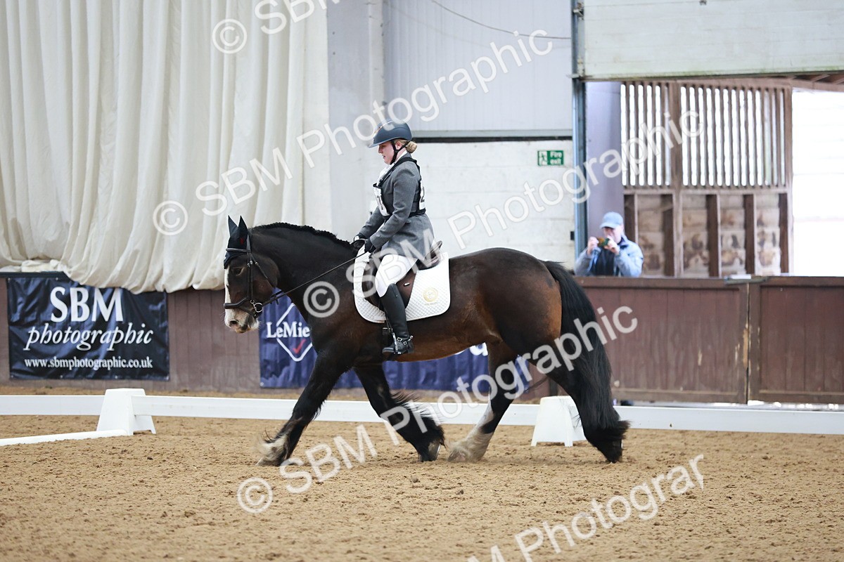 SBM_003847 - Class 2 - Novice 2020