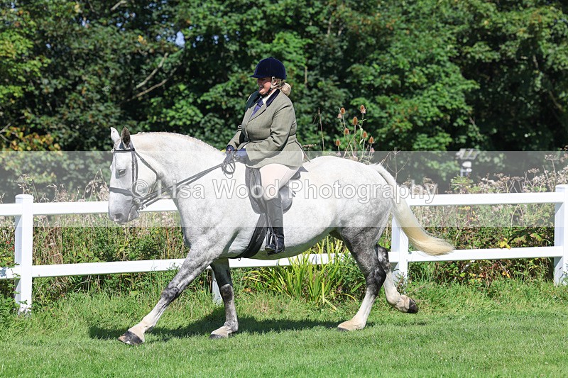 3E7A8393 - Class 4: Novice working Hunter