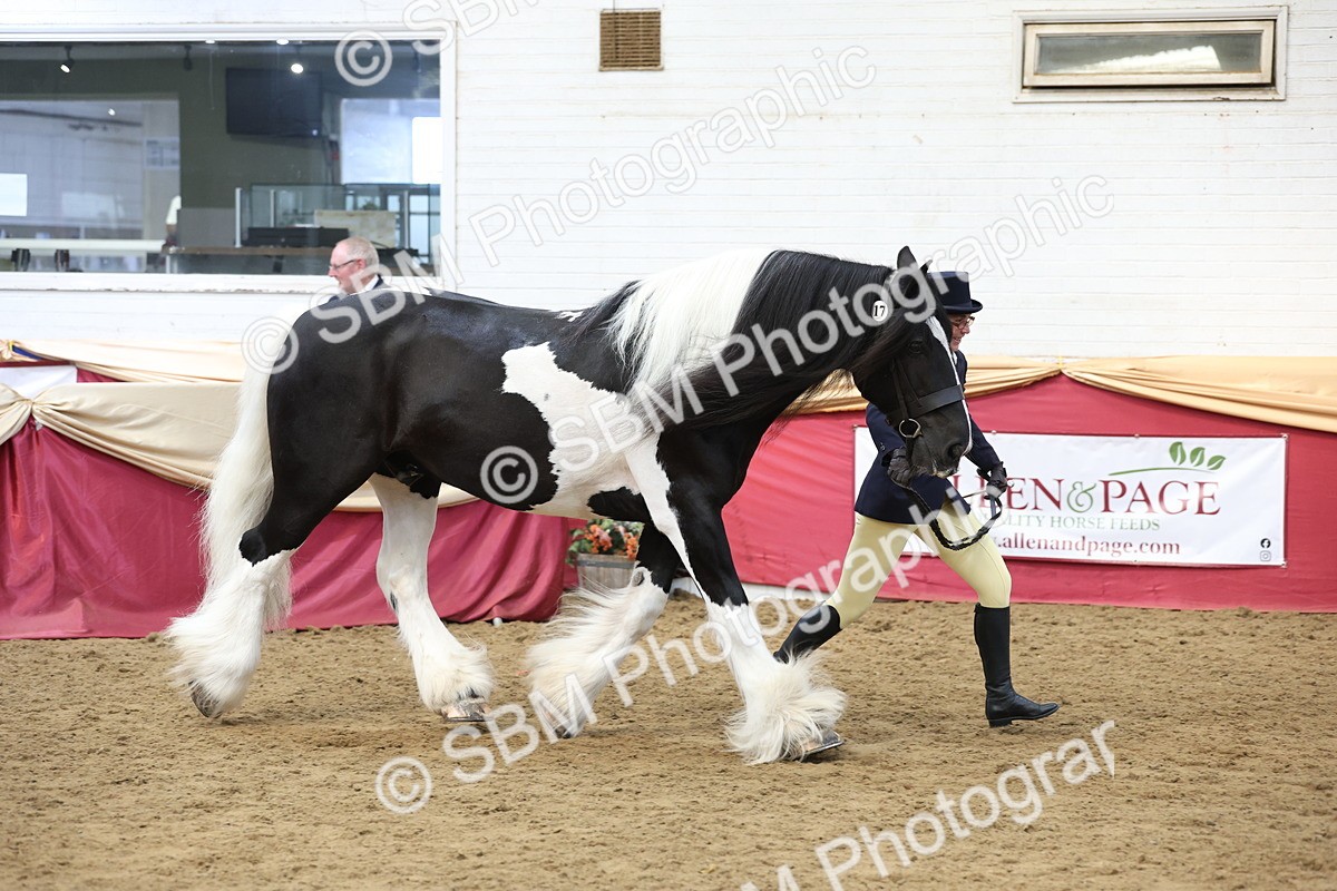 SBM_23681 - class 906 - Supreme Final - Ridden Pre Vet