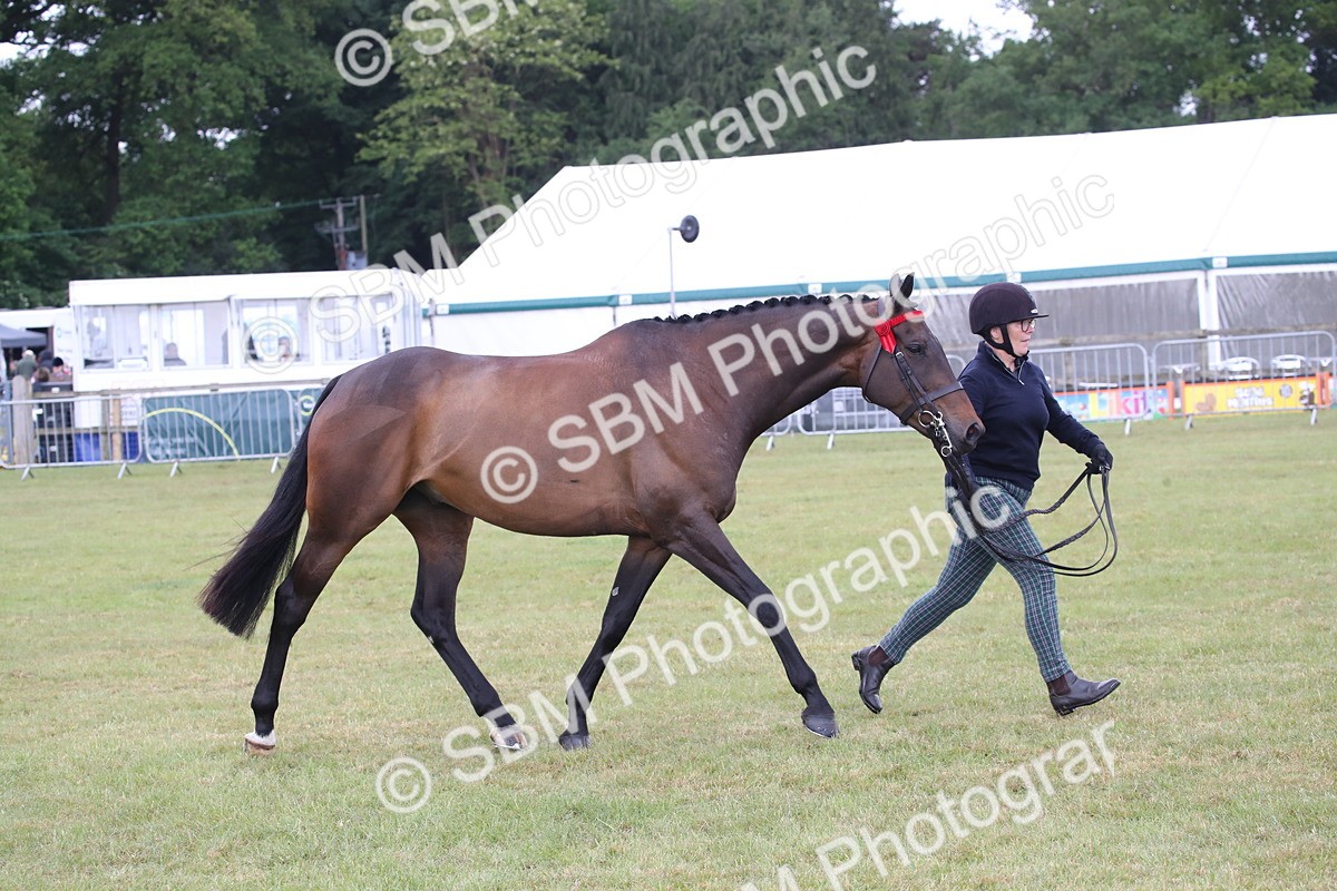 SBM_11453 - Class 94 - LIHS BSHA Racehorse to Showhorse