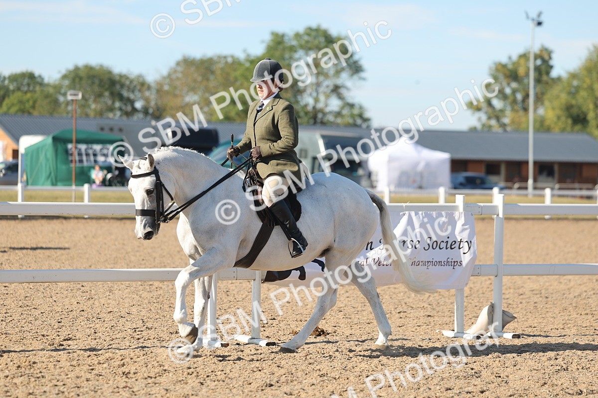 SBM_12188 - Class 303 - Ridden Pure Bred Horse Pony