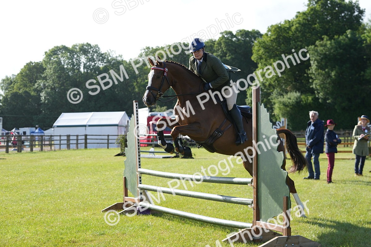 SBM_10507 - Class 97-98 - LIHS BSHA Rising Star Working Show Horse Hunter
