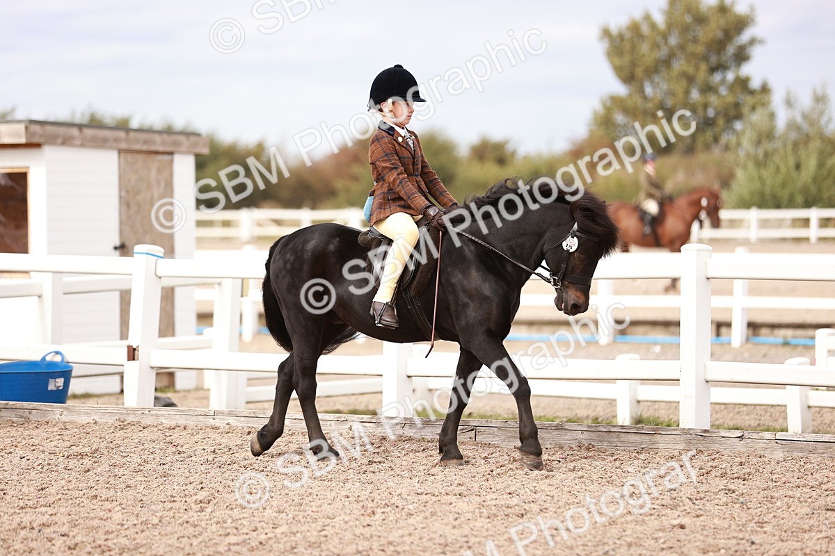 SBM_18286 - Class 417 - Handsome Gelding (IH or Ridden - JNR)