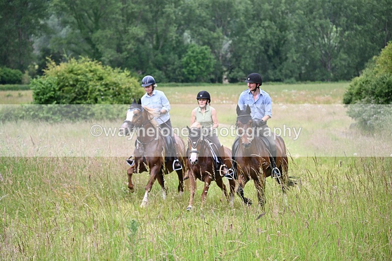 WJ6_8456 - Camera 1 Gallops