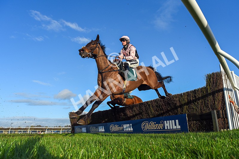 270224-Race 5-Twoshotsoftequila-6187 - Race 5