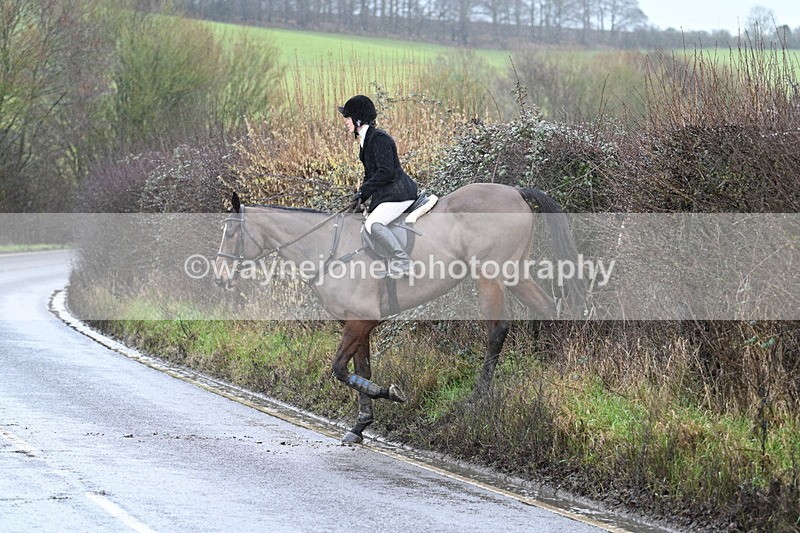 WJ7_6983 - Crossing A Camera