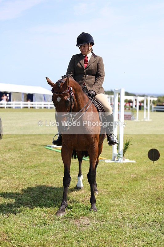 3E7A9440 - Class 12: Open Racehorse to Show Horse