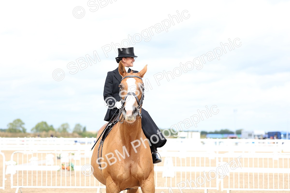 SBM_03359 - Class 23 - SSA Classical (any age)