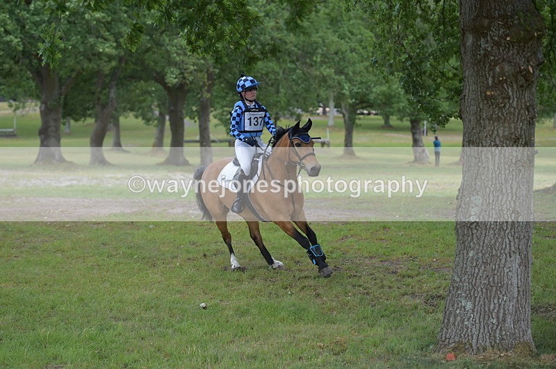 NGP_7933 - Time 11:39 to 11:48