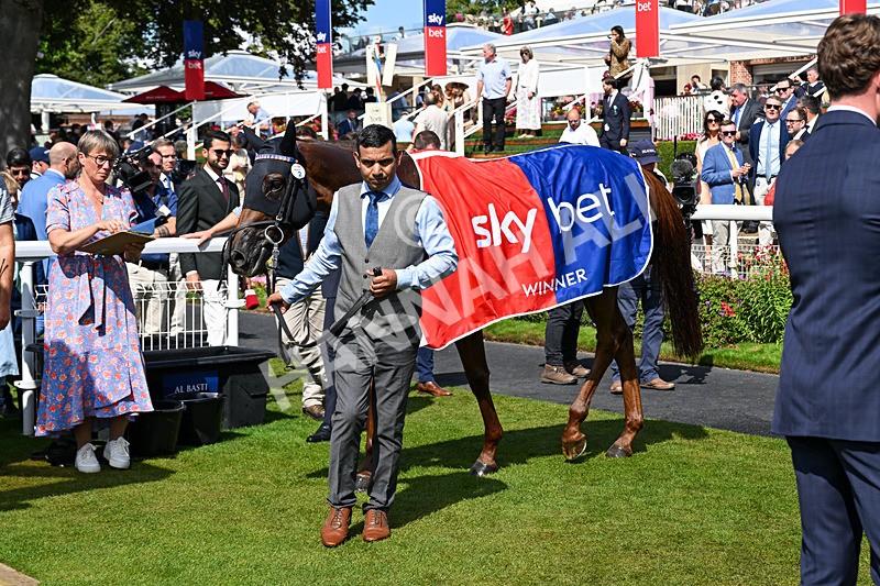 220826-Race 1-Archivist-2563 - Race 1 13.50pm Sky Bet Strensall Stakes